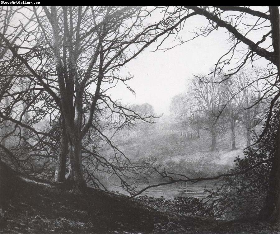 Atkinson Grimshaw Study of Beeches